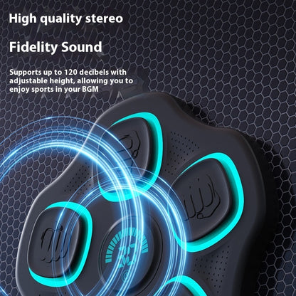 Bluetooth Music Boxing Target