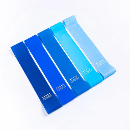 Set of Elastic Resistance Bands 