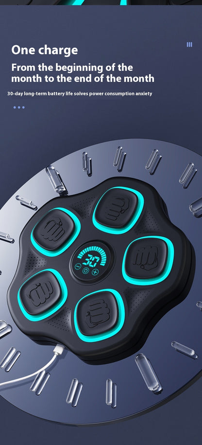 Bluetooth Music Boxing Target