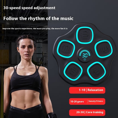Bluetooth Music Boxing Target