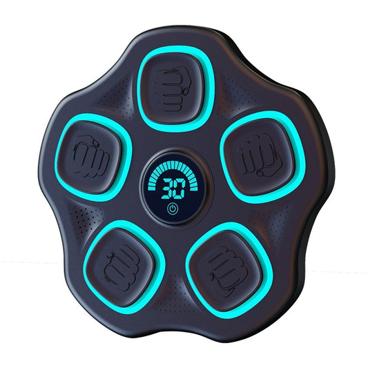 Bluetooth Music Boxing Target